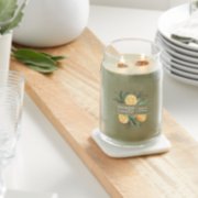 sage and citrus signature large jar candle on table image number 4