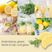 Homemade Herb Lemonade Original Large Jar Candles - Large Jar Candles