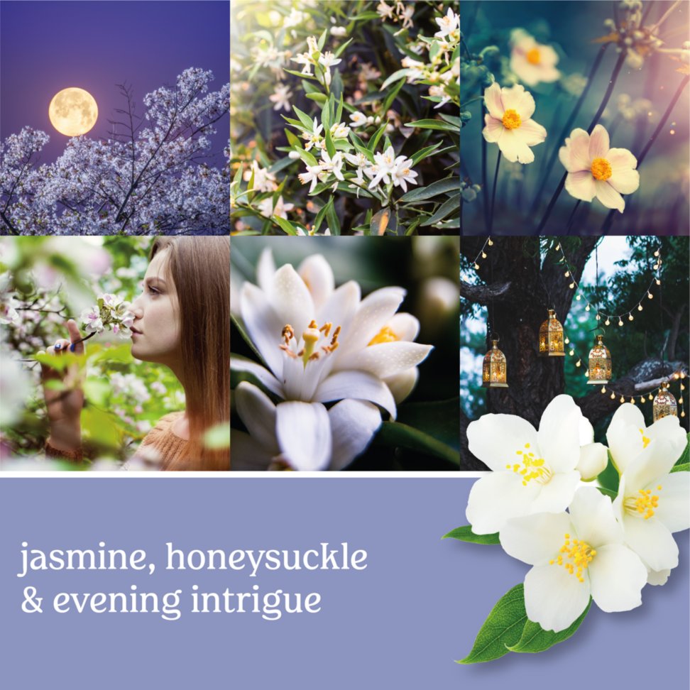 midnight jasmine  candle