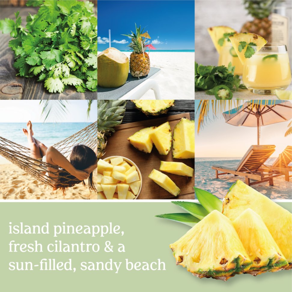 island pineapple, fresh cilantro and a sun-filled, sandy beach