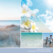 fresh air, fresh blossoms and a sparkling sea text on photo collage with beach landscapes and couple dancing image number 3