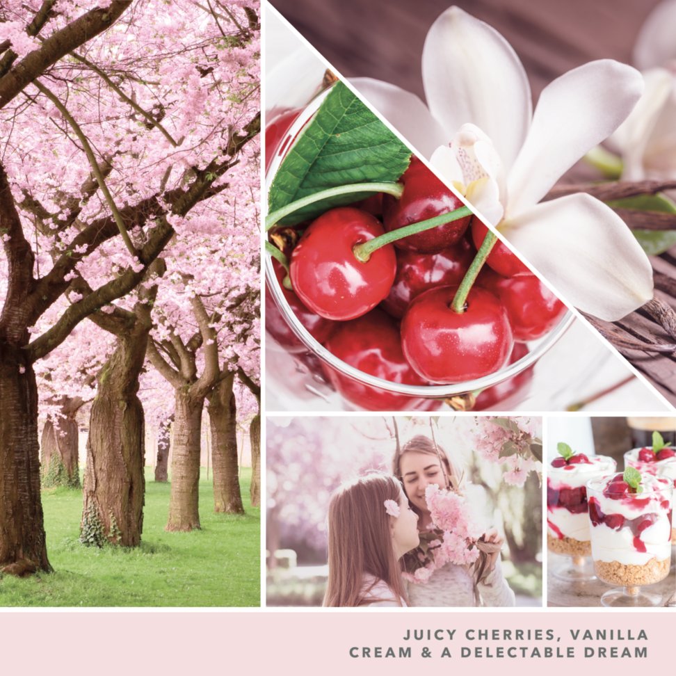 juicy cherries, vanilla cream and a delectable dream text on photo collage with cherry blossom trees, two girls, and parfaits