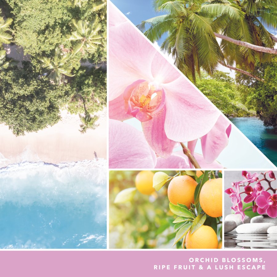 orchid blossoms, ripe fruit, and a lush escape text on photo collage with palm trees and beach