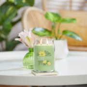 pineapple cilantro signature large jar candle on table image number 3