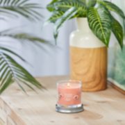 tropical breeze signature small tumbler candle on table image number 4
