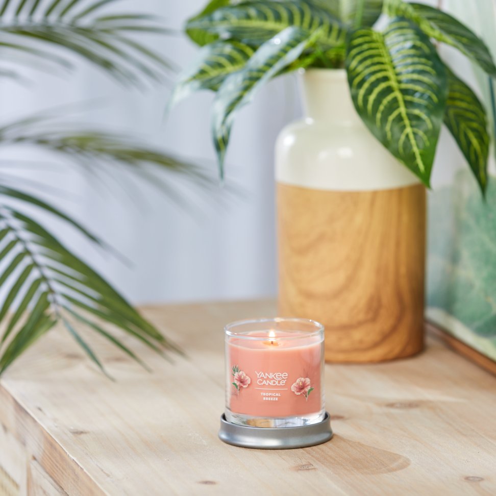 tropical breeze signature small tumbler candle on table