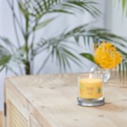 tropical starfruit signature small tumbler candle on table image number 3