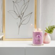 wild orchid signature large jar candle on table image number 4