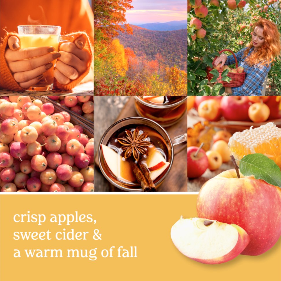photo collage with apples and text that reads crisp apples, sweet cider and a warm mug of fall