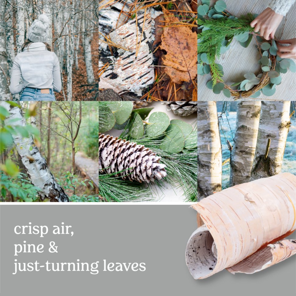 photo collage with forest and text that reads crisp air, pine and just-turning leaves