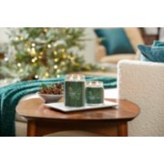 balsam and cedar signature large and medium jar candles on table image number 5