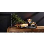 evergreen and wood smoke and frasier fir large and medium and ellipse trilogy candles image number 1