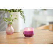 wild orchid studio collection large jar candle on table image number 3