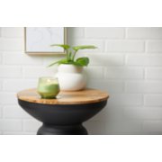 sage and citrus studio collection large jar candle on accent table image number 1