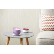 lemon lavender studio collection large jar candle on table with pink succulent image number 3