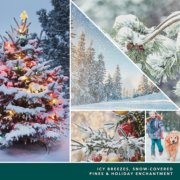 photo collage and text reading icy breezes, snow-covered pines and holiday enchantment image number 1