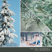 photo collage reading cool pine, cedarwood and chilly winter days image number 2