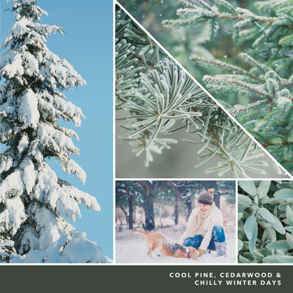 photo collage and text reading cool pine, cedarwood and chilly winter days