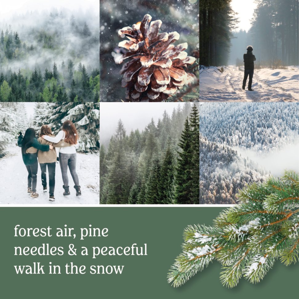 photo collage reading forest air, pine needles and a peaceful walk in the snow