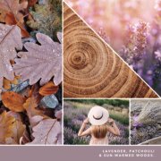photo collage with text that reads lavender patchouli and sun warmed woods image number 2