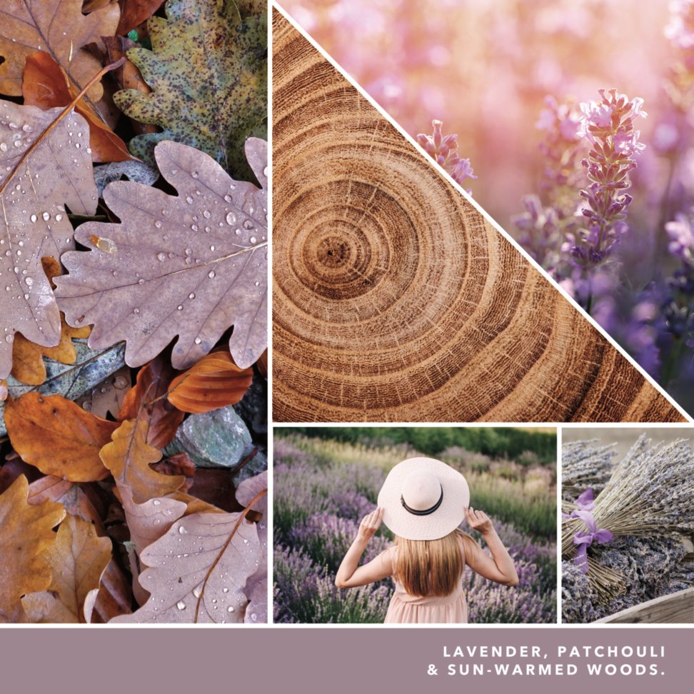 photo collage with text that reads lavender patchouli and sun warmed woods