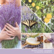photo collage with text that reads bright citrus lavender and peaceful moments image number 2