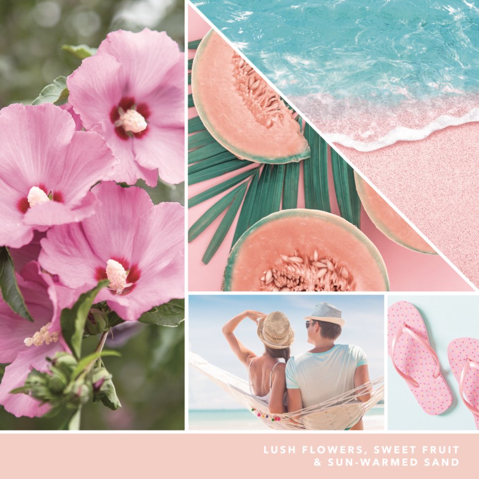 photo collage with text that reads lush flowers sweet fruit and sun-warmed sand