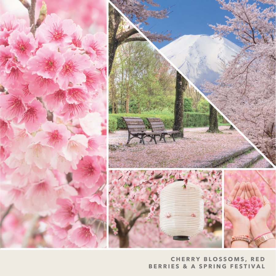 photo collage and text reading cherry blossoms, red berries and a spring festival