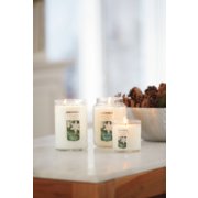 sparkling snow large jar candle and large 2 wick tumbler candle and regular tumbler candle on table image number 1