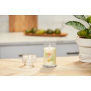 lit juicy citrus and sea salt signature medium pillar candle on wooden counter next to a potted plant image number 4