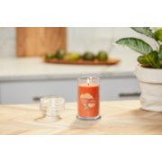 lit honey clementine signature medium pillar candle on wooden counter next to a potted plant image number 4