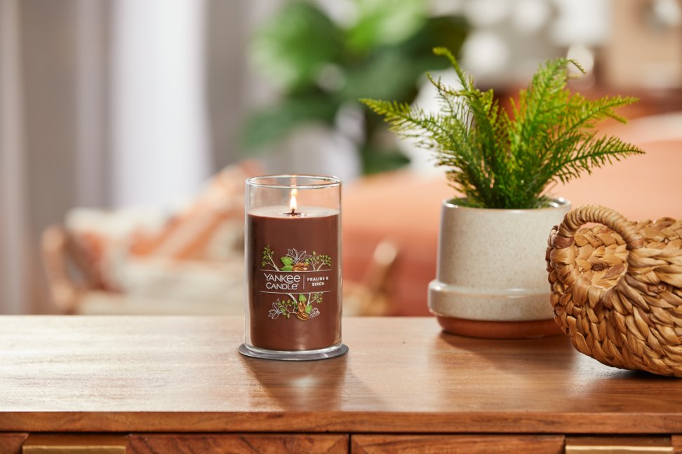 lit praline and birch signature medium pillar candle on wooden table next to a potted plant and basket