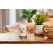 lit coconut beach signature medium pillar candle on wooden table next to a potted plant and basket image number 3