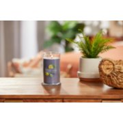 lit black tea and lemon signature medium pillar candle on wooden table next to a potted plant and basket image number 3