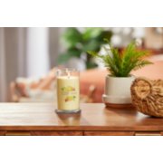 lit iced berry lemonade signature medium pillar candle on wooden table next to a potted plant and basket image number 3