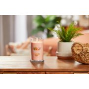 lit tangerine and vanilla signature medium pillar candle on wooden table next to a potted plant and basket image number 3