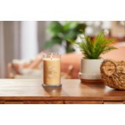 lit vanilla cupcake signature medium pillar candle on wooden table next to a potted plant and basket image number 3