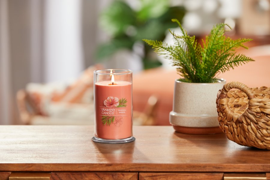 lit tropical breeze signature medium pillar candle on wooden table next to a potted plant and basket