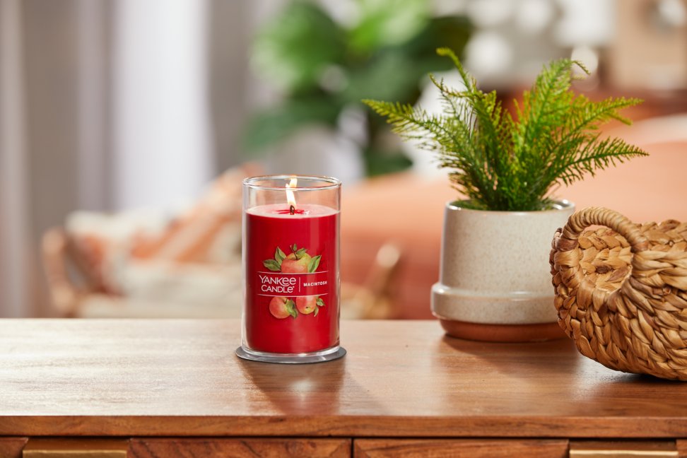 lit macintosh signature medium pillar candle on wooden table next to a potted plant and basket