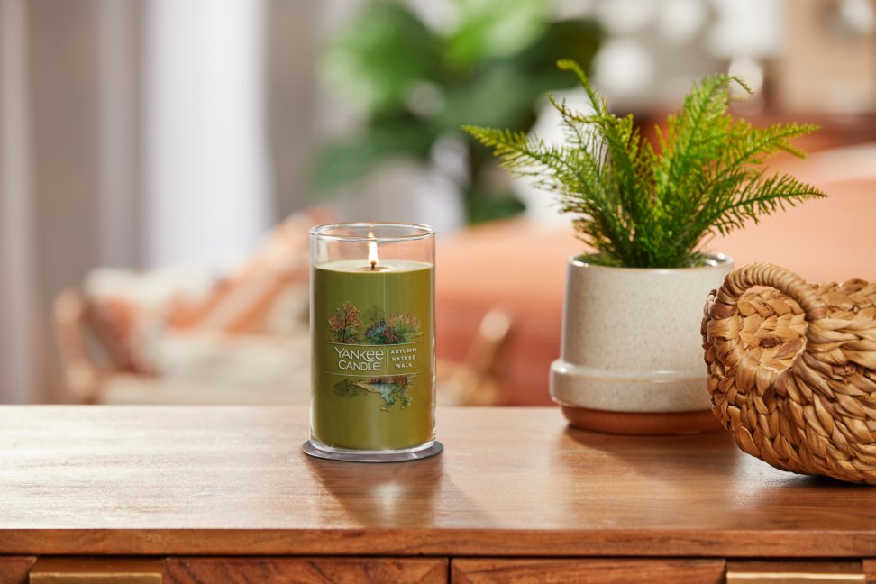 lit autumn nature walk signature medium pillar candle on wooden table next to a potted plant and basket