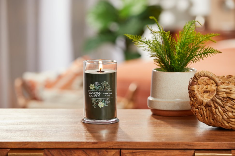 lit silver sage and pine signature medium pillar candle on wooden table next to a potted plant and basket