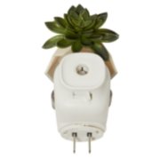 succulent scentplug diffuser top view image number 3