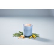 chesapeake bay candle intentions collection be present cypress sea minerals medium two wick jar candle surrounded by lemon pieces and a cypress branch in a pastel blue backdrop image number 6