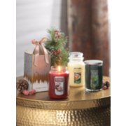 frosty gingerbread christmas cookie large jar candles and balsam and cedar tumbler candle and gift set image number 5