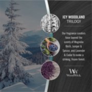 woodwick icy woodland trilogy fragrance in 2d photo collage with text that reads, our fragrance curators have layered the scents of magnolia birch, juniper and spruce, and lavender and cedar to evoke a striking, frozen forest image number 2
