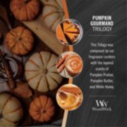 woodwick pumpkin gourmand trilogy fragrance in 2d photo collage with text that reads, this trilogy was composed by our fragrance curators with the layered scents of pumpkin praline, pumpkin butter, and white honey image number 2