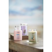 sage and citrus pink sands large jar candles and medium perfect pillar candle on table image number 4