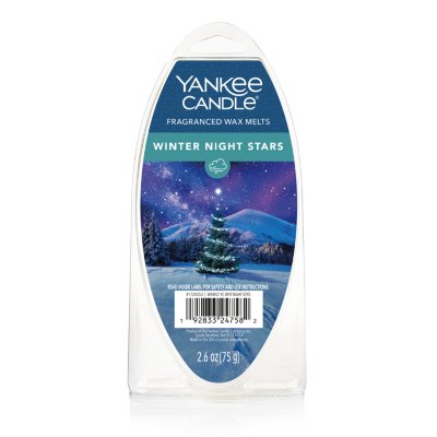 Winter Night Stars