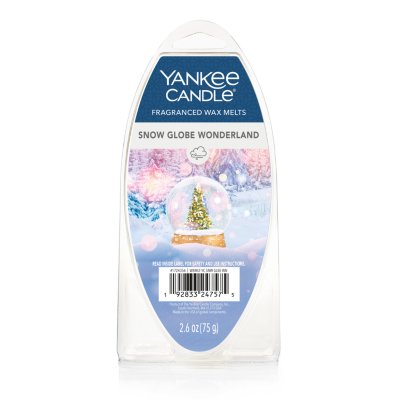 Snow Globe Wonderland