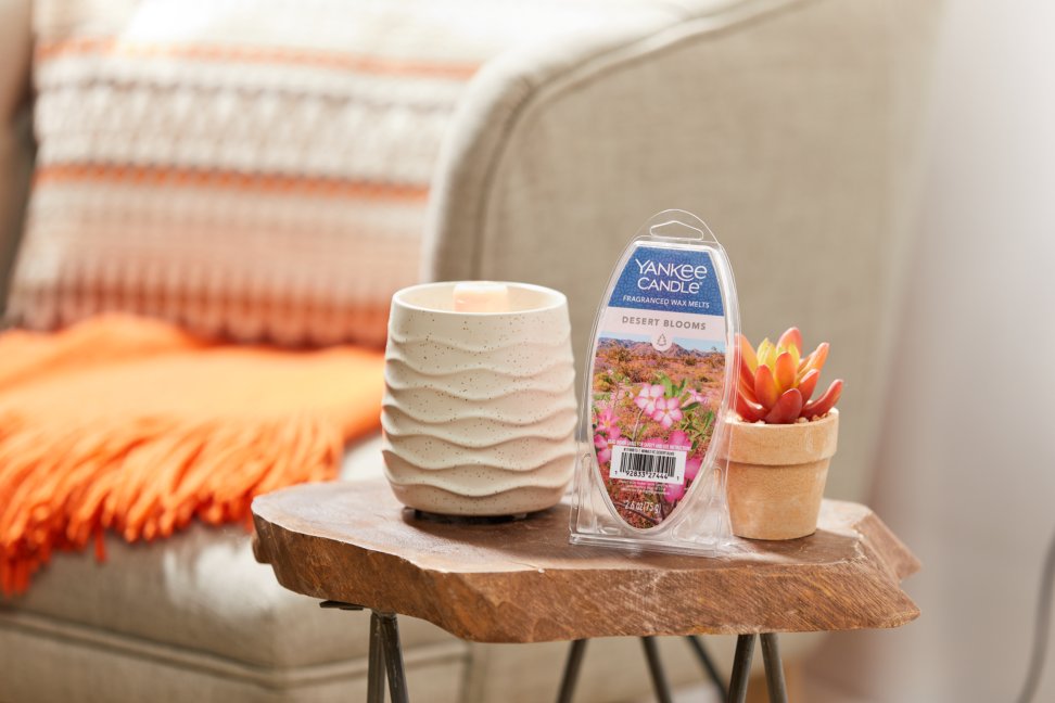 desert blooms wax melts package with white warmer on wood slab side table with small potted succulent and sofa in background